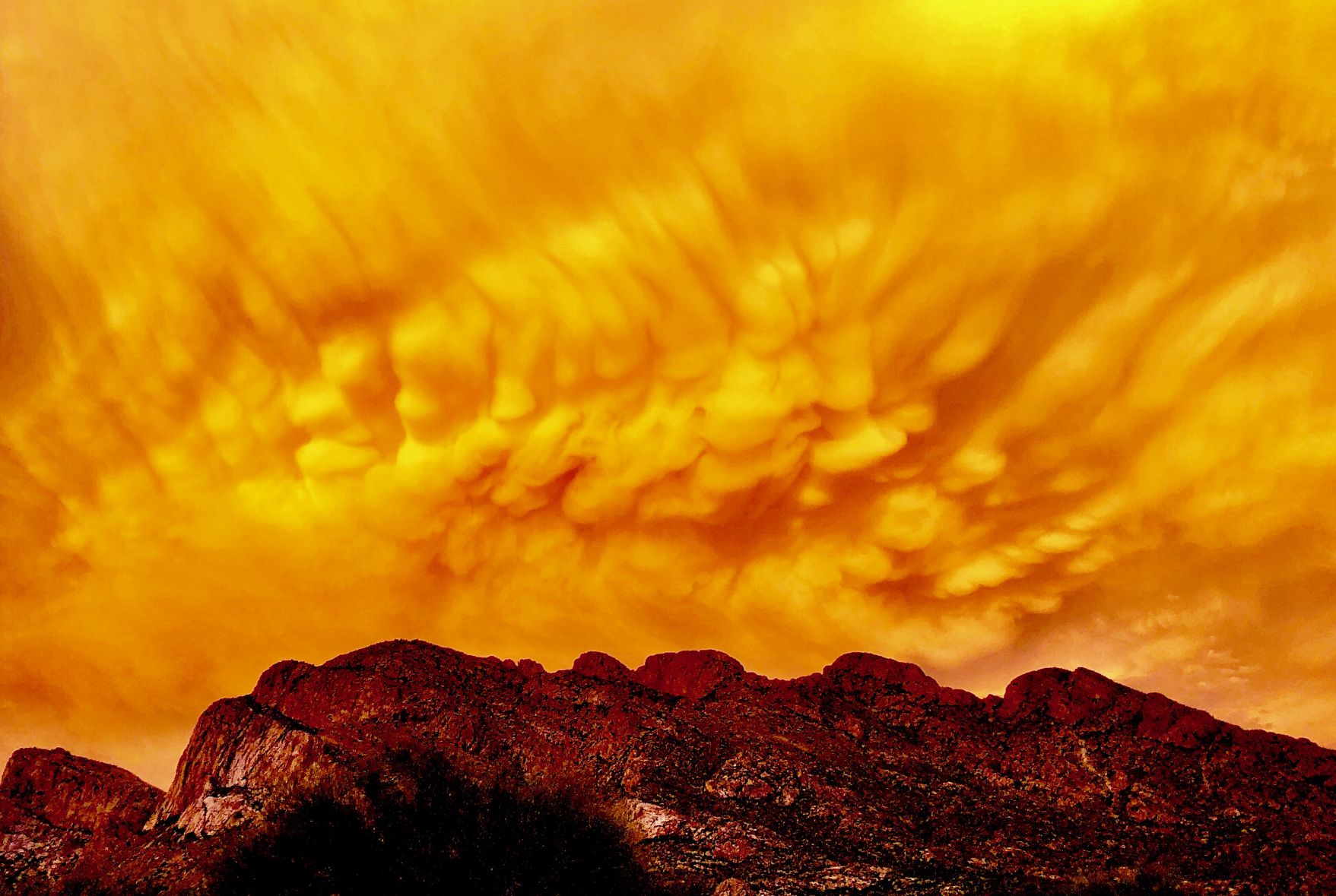 Oro Valley